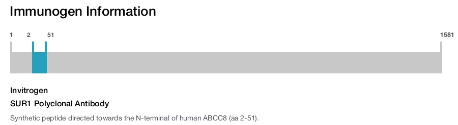 SUR1 Polyclonal Antibody