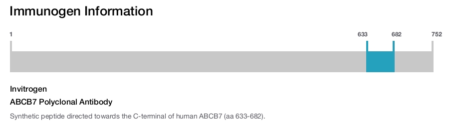 ABCB7 Polyclonal Antibody