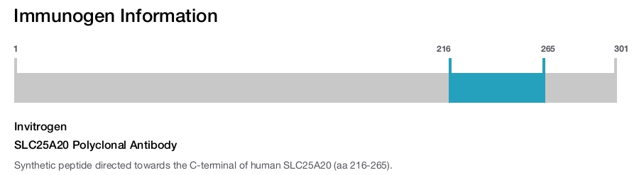 SLC25A20 Polyclonal Antibody