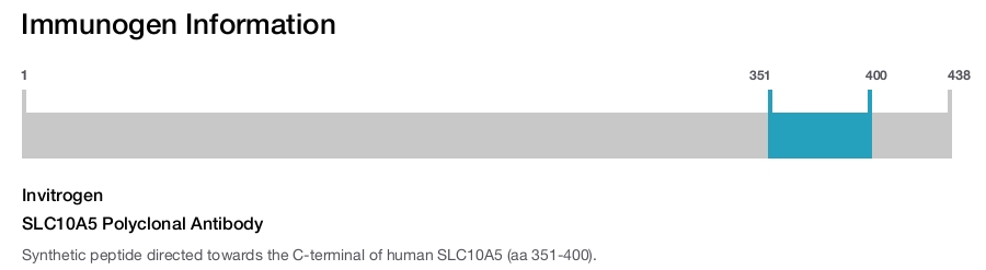 SLC10A5 Polyclonal Antibody