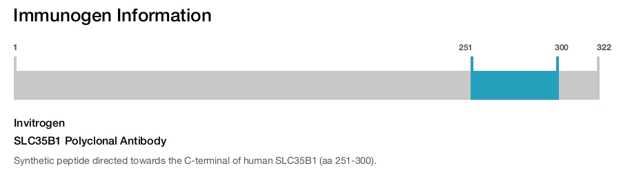 SLC35B1 Polyclonal Antibody
