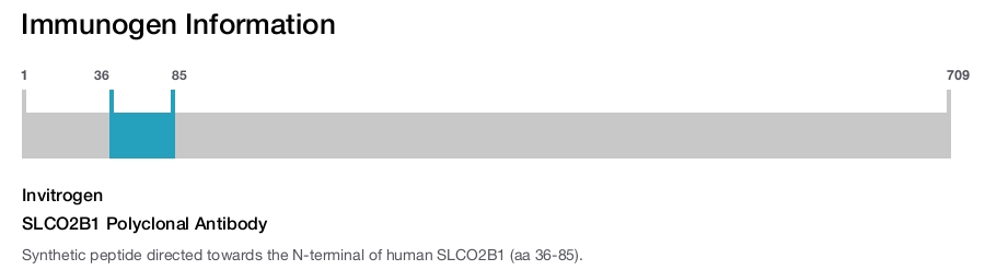 SLCO2B1 Polyclonal Antibody