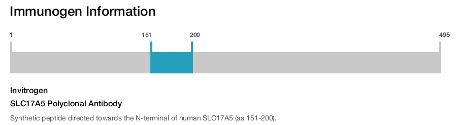 SLC17A5 Polyclonal Antibody