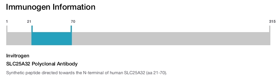 SLC25A32 Polyclonal Antibody