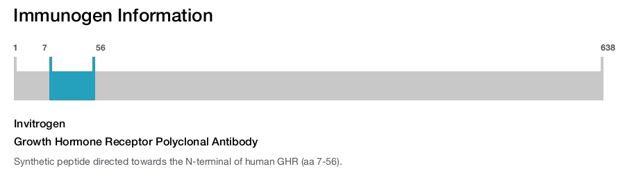 Growth Hormone Receptor Polyclonal Antibody