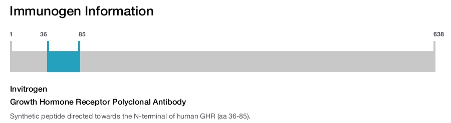 Growth Hormone Receptor Polyclonal Antibody