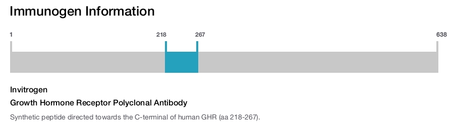 Growth Hormone Receptor Polyclonal Antibody
