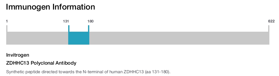 ZDHHC13 Polyclonal Antibody