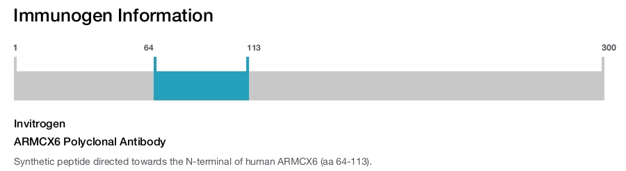 ARMCX6 Polyclonal Antibody