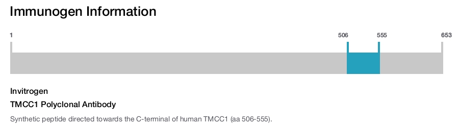 TMCC1 Polyclonal Antibody