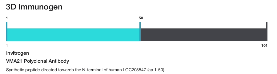 VMA21 Polyclonal Antibody