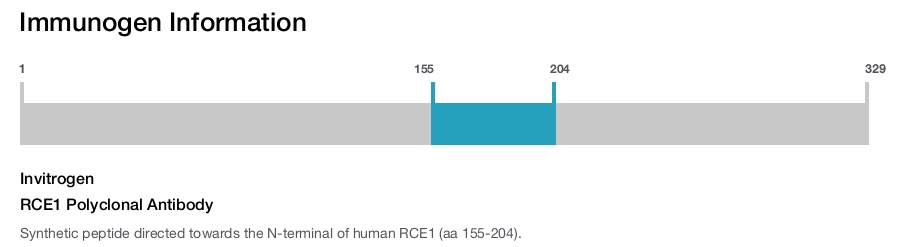 RCE1 Polyclonal Antibody