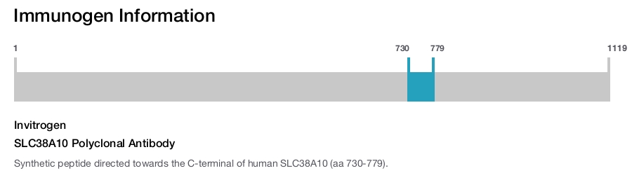 SLC38A10 Polyclonal Antibody