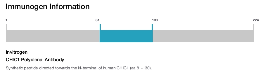 CHIC1 Polyclonal Antibody