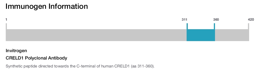 CRELD1 Polyclonal Antibody