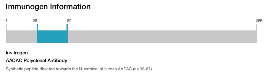 AADAC Polyclonal Antibody