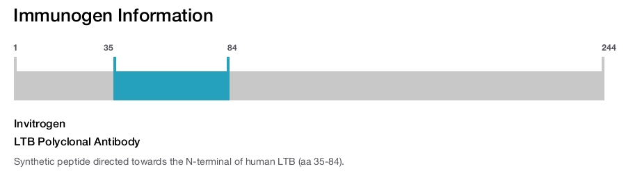 LTB Polyclonal Antibody