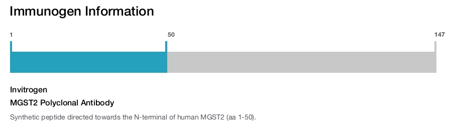 MGST2 Polyclonal Antibody