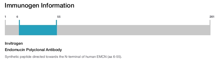 Endomucin Polyclonal Antibody