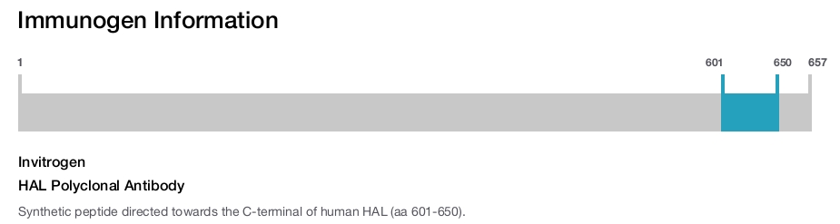 HAL Polyclonal Antibody