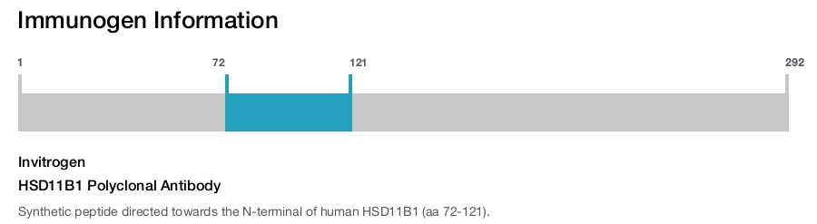 HSD11B1 Polyclonal Antibody