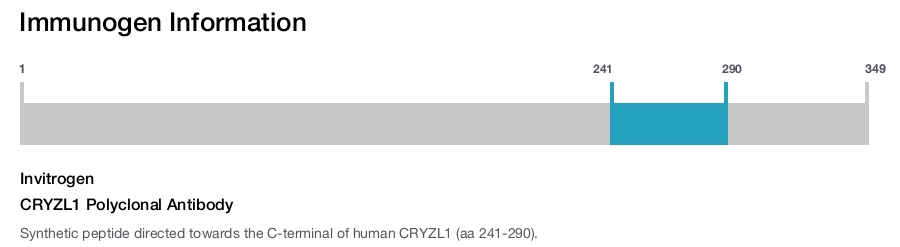 CRYZL1 Polyclonal Antibody