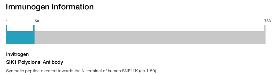 SIK1 Polyclonal Antibody