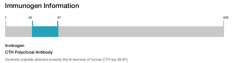 CTH Polyclonal Antibody