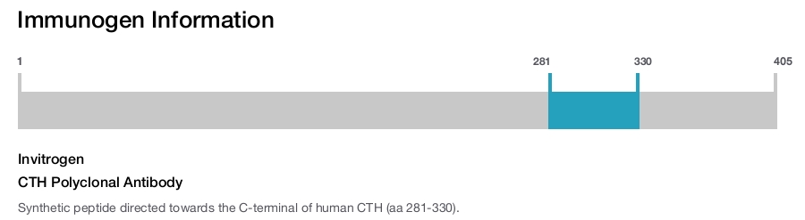 CTH Polyclonal Antibody