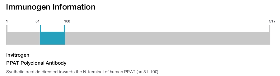 PPAT Polyclonal Antibody