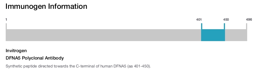 DFNA5 Polyclonal Antibody