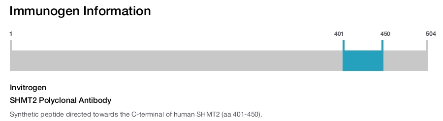SHMT2 Polyclonal Antibody