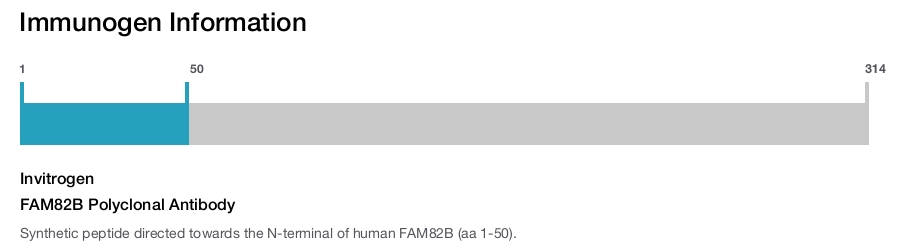FAM82B Polyclonal Antibody
