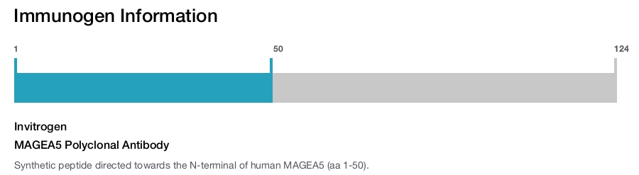 MAGEA5 Polyclonal Antibody
