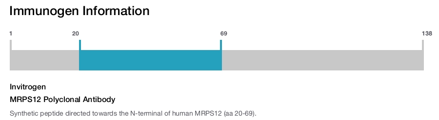 MRPS12 Polyclonal Antibody