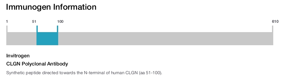 CLGN Polyclonal Antibody
