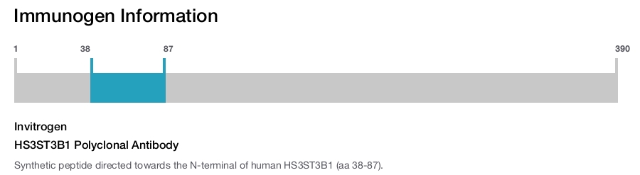 HS3ST3B1 Polyclonal Antibody