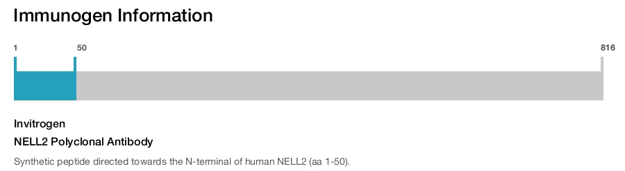 NELL2 Polyclonal Antibody