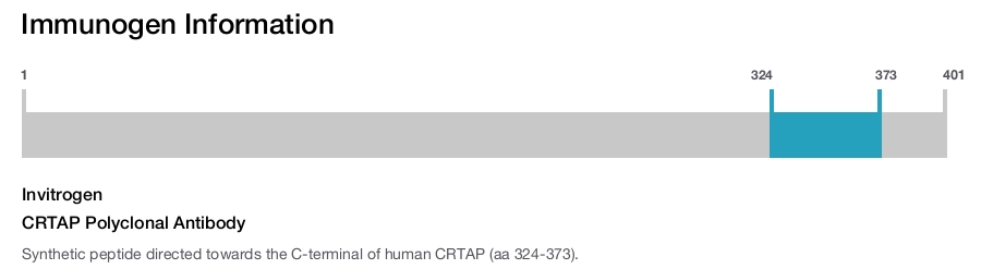 CRTAP Polyclonal Antibody