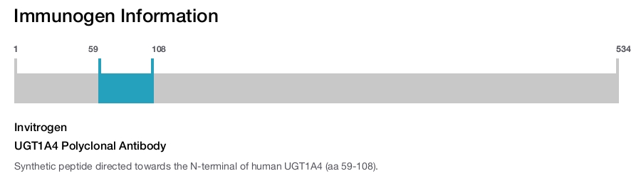 UGT1A4 Polyclonal Antibody