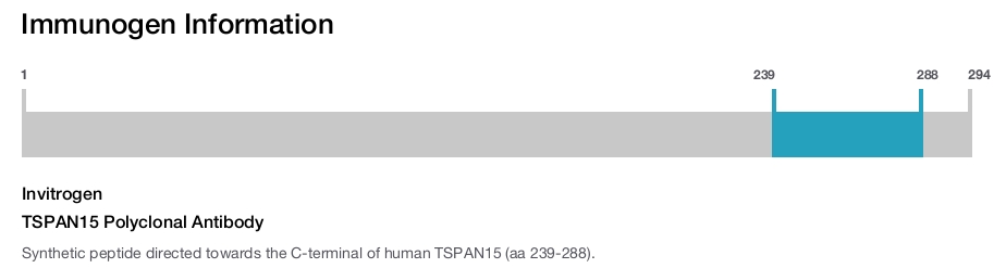 TSPAN15 Polyclonal Antibody