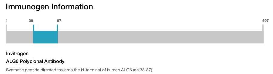 ALG6 Polyclonal Antibody