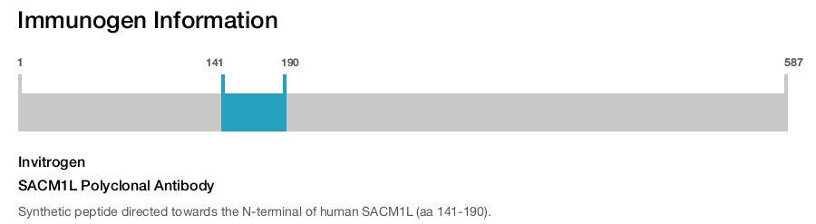 SACM1L Polyclonal Antibody