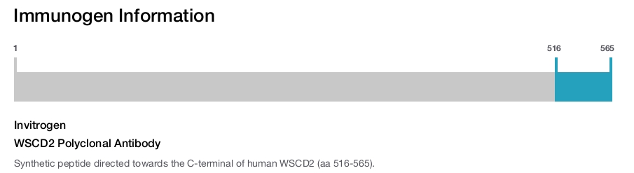 WSCD2 Polyclonal Antibody
