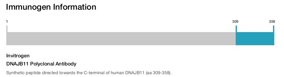 DNAJB11 Polyclonal Antibody