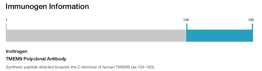 TMEM9 Polyclonal Antibody