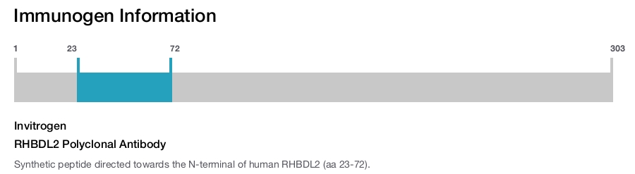 RHBDL2 Polyclonal Antibody