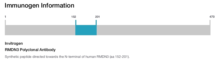 RMDN3 Polyclonal Antibody
