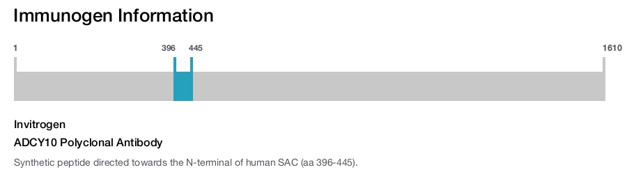 ADCY10 Polyclonal Antibody