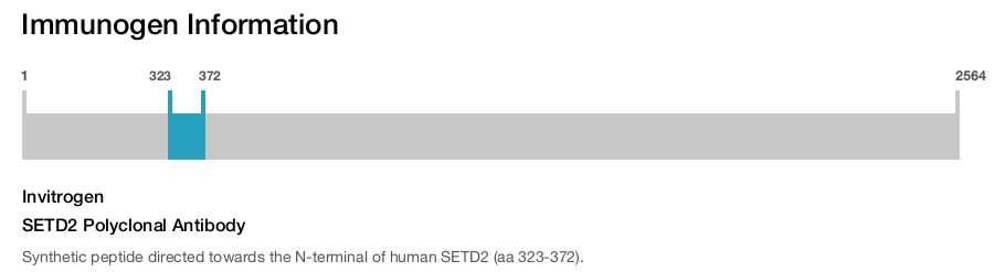 SETD2 Polyclonal Antibody